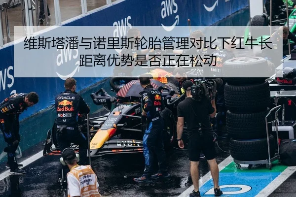 维斯塔潘与诺里斯轮胎管理对比下红牛长距离优势是否正在松动（NG tiyu app）