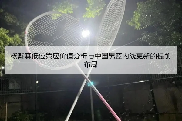 杨瀚森低位策应价值分析与中国男篮内线更新的提前布局（NG tiyu app）